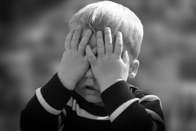 Ein Drittel der Sozialhilfebeziehenden in Niederösterreich sind Kinder. 