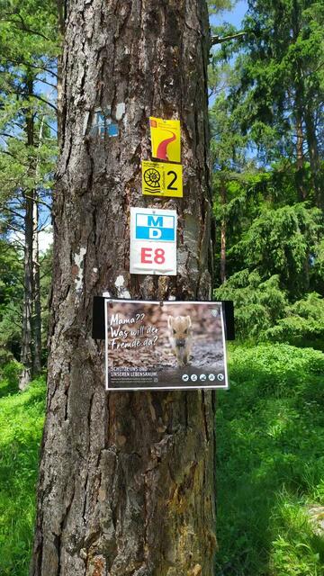 Ich glaub ich steh im Schilderwald | Foto: Aina Geber