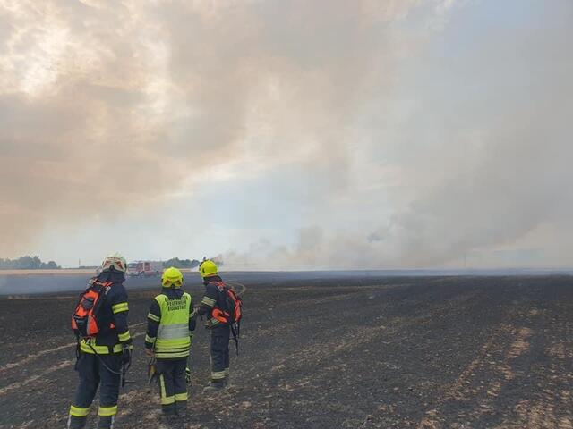 Foto: Feuerwehr Eisenstadt