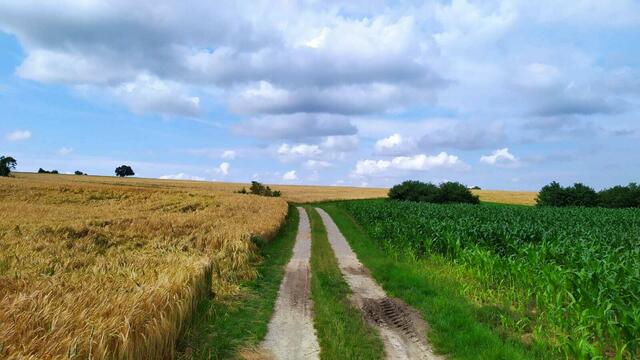 Entlang des Mühlenweges geht es von Rothenburg ob der Tauber nach Creglingen. | Foto: Aina Geber