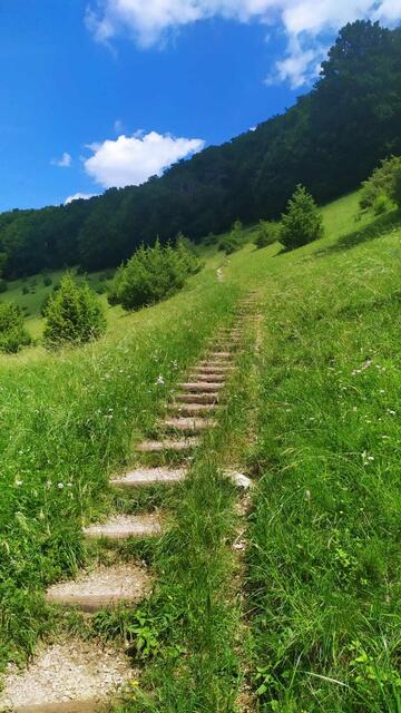 Stairway to Waldrand | Foto: Aina Geber