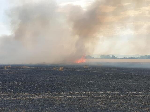 Foto: Feuerwehr Eisenstadt