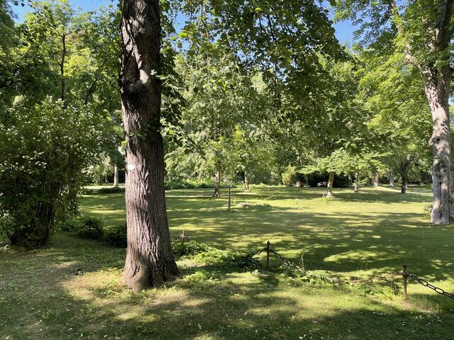 Schattiges Grün wartet im Liechtensteinpark auf Besucherinnen und Besucher.
