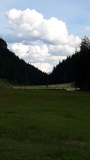 Gute Nacht... | Foto: I.Wozonig