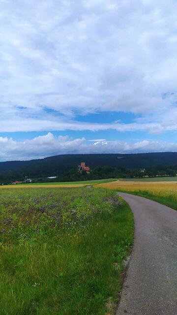 Die Gamburg ob der Tauber, heute offiziell Burg und Burgpark Gamburg, auch Burg Gamburg genannt, in der Gemeinde Werbach im Main-Tauber-Kreis in Baden-Württemberg.  | Foto: Aina Geber
