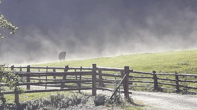 bald wird sich der Nebel auflösen... | Foto: I.Wozonig