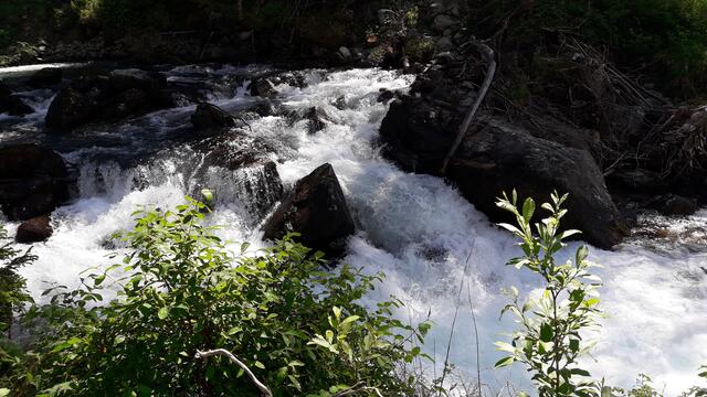 schon das Zusehen erfrischt.. | Foto: I.Wozonig