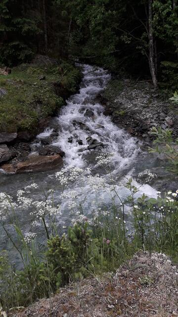 wo der Wildbach rauscht... | Foto: I.Wozonig