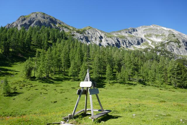 Auf der Stubhöhe - mit Bärenstaffl und Steinfeldspitze im Hintergrund.  | Foto: Thomas Neuhold
