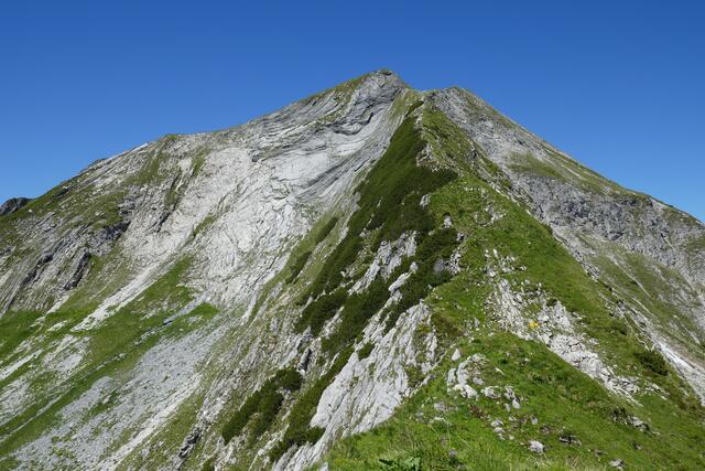 Die Steinfeldspitze mit der hier besonders gut sichtbaren Auffaltung des Kalkgesteins.  | Foto: Thomas Neuhold