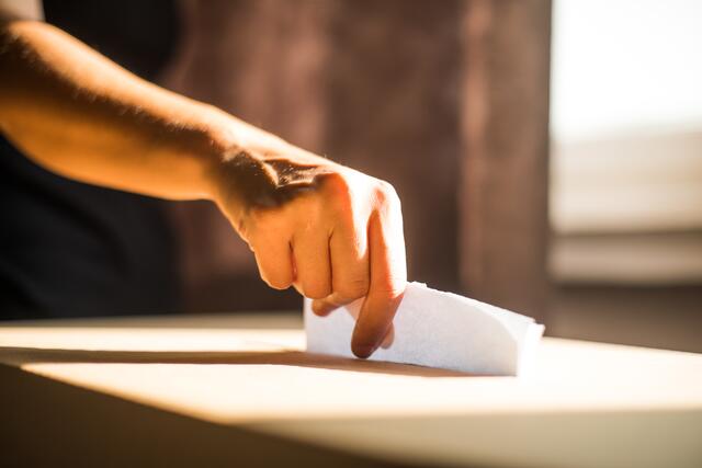 Im Herbst finden in Oberösterreich die Landtagswahlen statt. | Foto: panthermedia net/ bizoo n