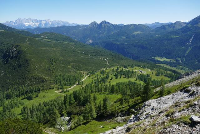 Anstieg zum Bärenstaffl mit Blick auf die Tauernkarleitenalm - links hinten der Dachstein.  | Foto: Thomas Neuhold