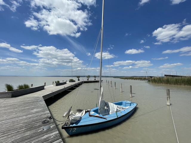 Während der Tourismus über erfreuliche Besucherzahlen berichtet, äußern Fischerei- und Wasserleitungsverband vermehrt Sorgen über den Wasserstand am Neusiedler See. | Foto: Kathrin Haider