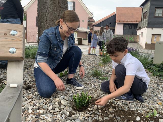 GR Anna Hopper und Schüler der 2a nahmen die Neugestaltung zum Anlass, Lavendelstauden und weitere Pflanzen nachzusetzten. | Foto: KK