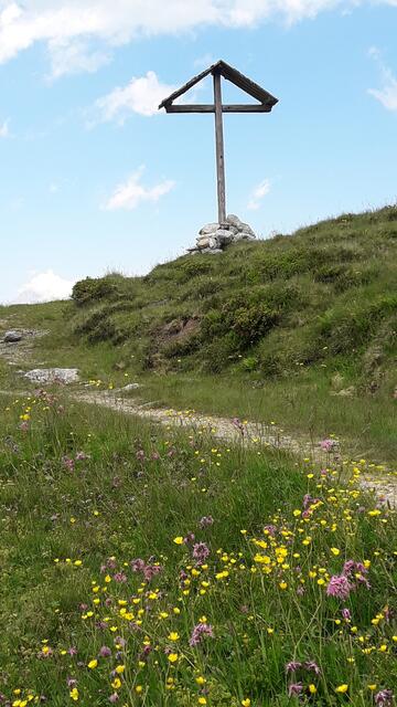 netter Empfang vor der Heidialm.. | Foto: I.Wozonig 