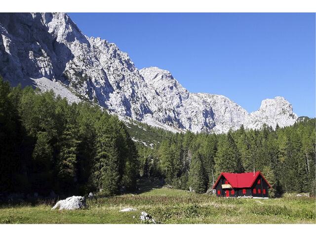 Denn schon das Niedertreten kann fatale Folgen für die Pflanzen haben.  | Foto: Naturfreunde Niederösterreich