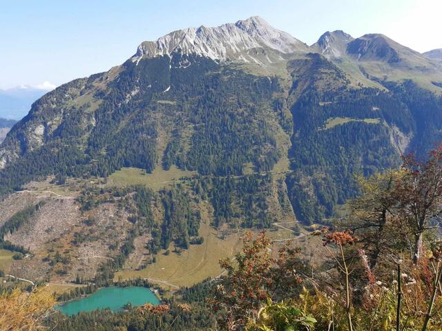 Doch hier wartet auch die ein oder andere sportliche Herausforderung auf dich.  | Foto: Naturfreunde Niederösterreich
