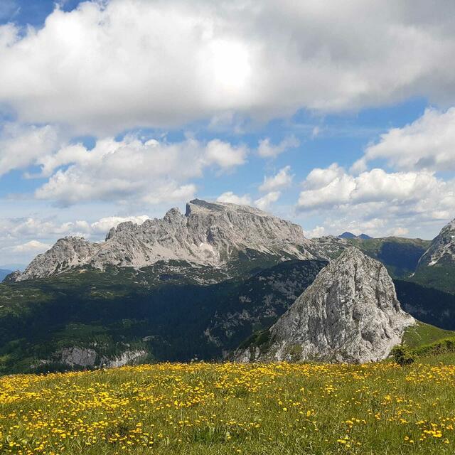 In den Karnischen Alpen kannst du beim Wandern die Seele baumeln lassen.  | Foto: Naturfreunde Niederösterreich