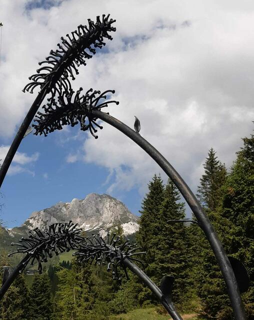 Die unberührte Natur ist das Highlight der Alpenregion.  | Foto: Naturfreunde Niederösterreich