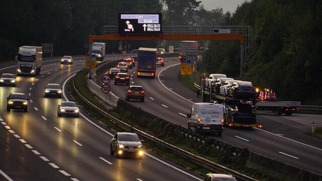 Der hohe Flächenverbrauch durch die Landwirtschaft oder den Bau von Autobahnen führt zu Biodiversitätsverlust.