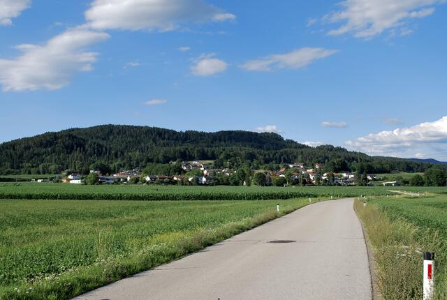 Die Klagenfurter Ortschaft "Gottesbichl" | Foto: RMK