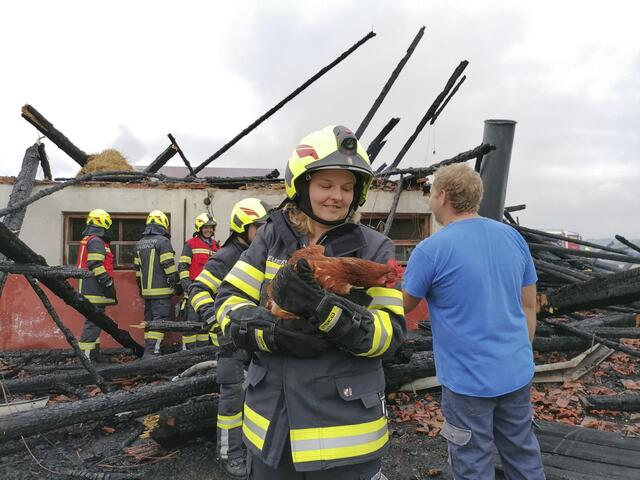Foto: Fischer/zema-medien.de