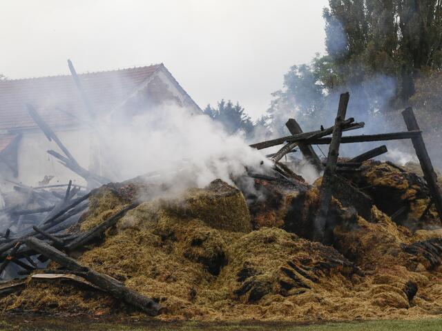 Foto: Fischer/zema-medien.de