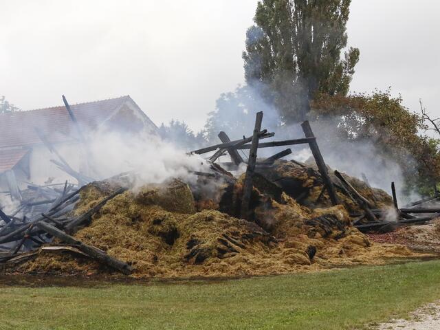 Foto: Fischer/zema-medien.de