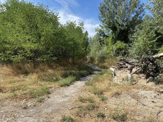 Der "Gstettn-Flair" soll auf dem Areal erhalten bleiben.  | Foto: Julia Schmidt