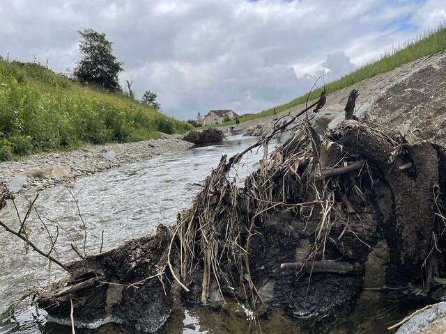 Auch die Ufer des Simbachs werden für Blühflächen genutzt. | Foto: Haindl