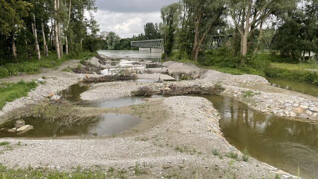Meanderschleifen drosseln die Fließgeschwindigkeit des Simbachs. | Foto: Haindl