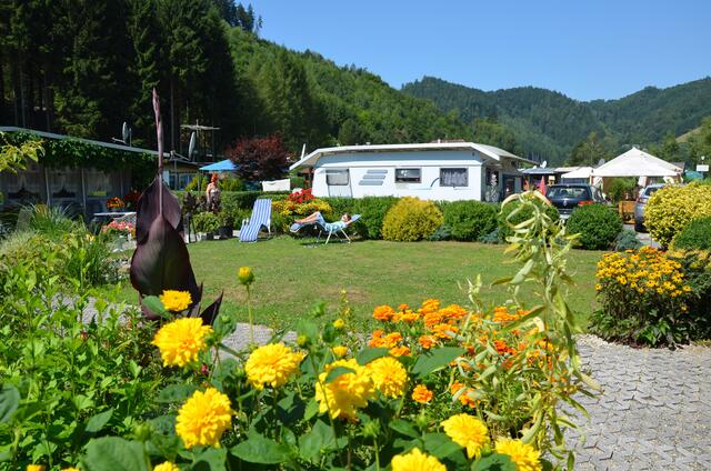 Idyllisch lässt es sich beim Kaiserhof in Aschach/Donau campieren. | Foto: Bader/Kaiserhof