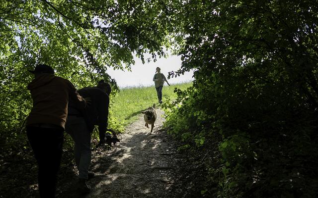 Stella Legat aus Bruck an der Mur und ihr Hund "Captain" sind die Hauptdarsteller im Imagevideo von AT&amp;S. | Foto: AT&amp;S