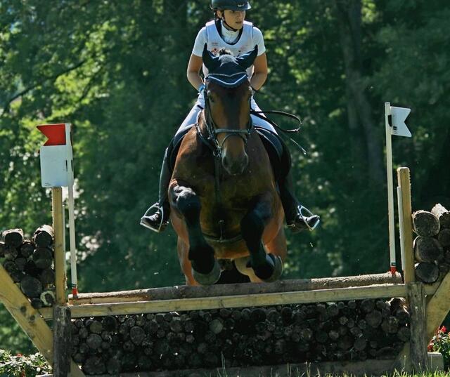 Genau 33 vielseitige Reiter trugen sich in die Startliste für die Kombinationswertung ein. | Foto: RC Elixhausen