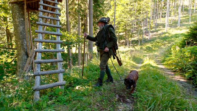 Aufsichtsjäger Rupert Benedikt durchstreift mit seinem Jagdhund regelmäßig das Revier. | Foto: Visualize 2021