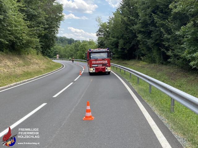Foto: Feuerwehr Holzschlag