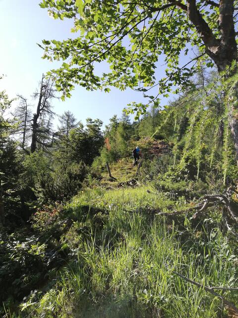 Unterwegs auf alten Pfaden und Übergängen