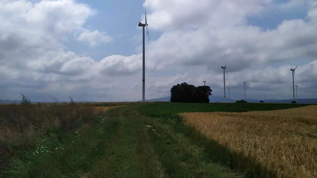 Der Himmel hinter den Windrädern ist nicht blau, aber lässt auch nicht erkennen, dass nur rund 200 Kilometer entfernt aufgrund der schweren Unwetter und Überschwemmungen der militärische Katastrophenalarm ausgelöst wurde. | Foto: Aina Geber