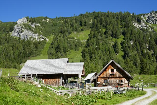 Rast auf der Müllneralm/Müllnerbauernalm.  | Foto: Thomas Neuhold