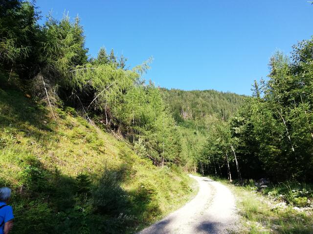 Ausgangspunkt Forststraße nach der Wahrheit