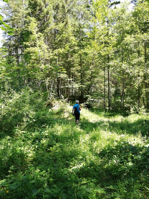 Zurück ins Tal auf alten Wegen