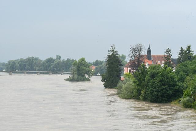 Foto: Pressefoto Scharinger