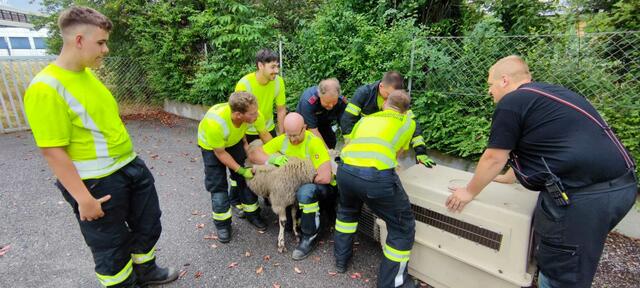 Foto: Freiwillige Feuerwehr Neunkirchen