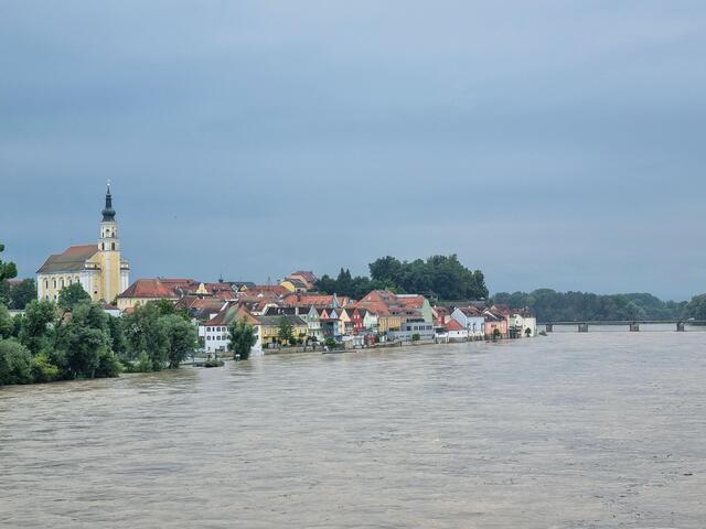 Foto: Pressefoto Scharinger