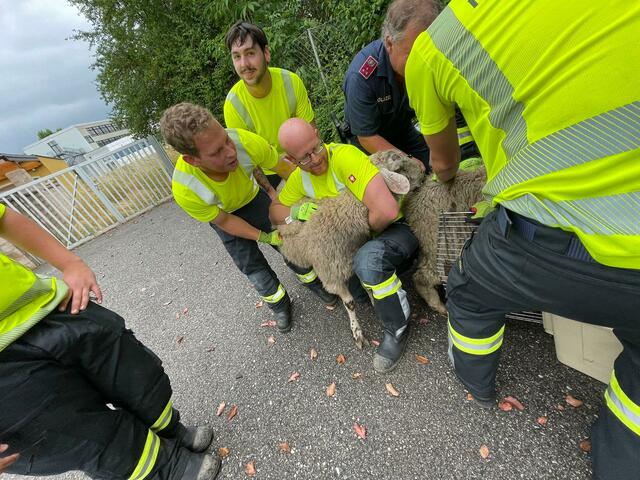 Foto: Freiwillige Feuerwehr Neunkirchen