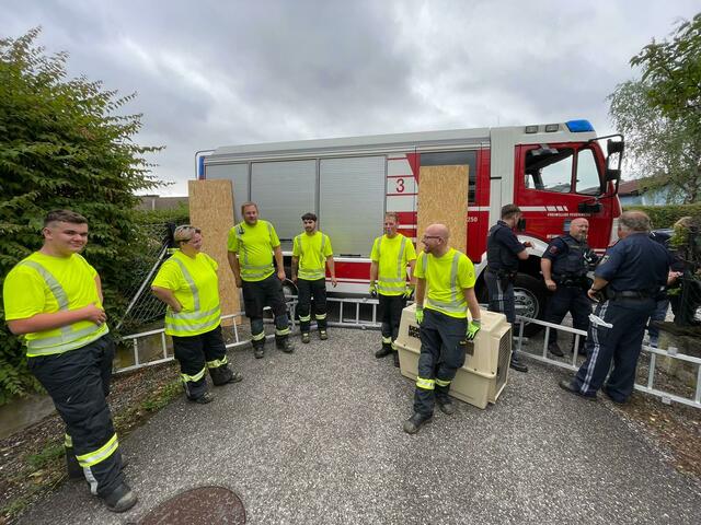 Foto: Freiwillige Feuerwehr Neunkirchen