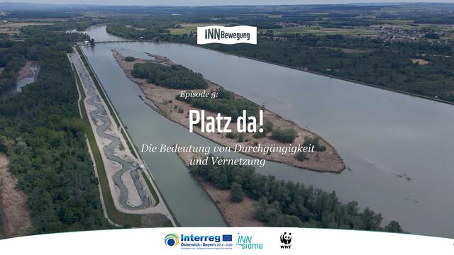 Durch Wasserkraftwerke und Verbauungen stehen viele Tiere und Pflanzen vor einer Herausforderung. | Foto: WWF Österreich