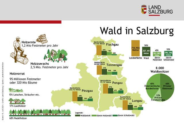Die Hälfte Salzburgs ist von Wald bedeckt. | Foto: Grafik/LMZ