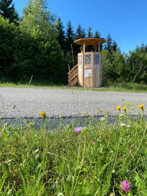 Ein bisschen griechisches Urlaubsfeeling mit Geschichte in Eberstein.