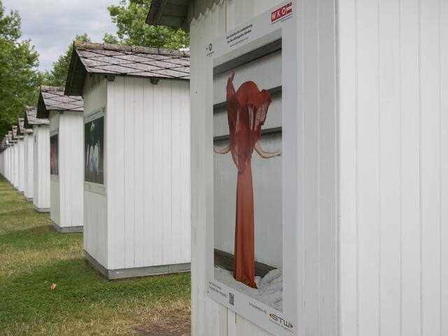 Foto: WKK/Caroline Knauder